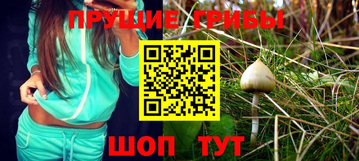 Галлюциногенные грибы мухоморы  Вход с VPN  Псилоцибиновые грибы Psilocybe  Зеленокумск 